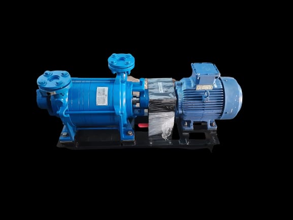 Two Stage Water Ring Vacuum Pump